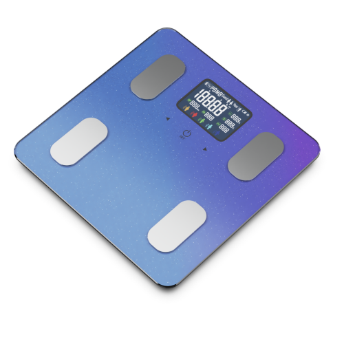 Body Composition Analyzer Scale